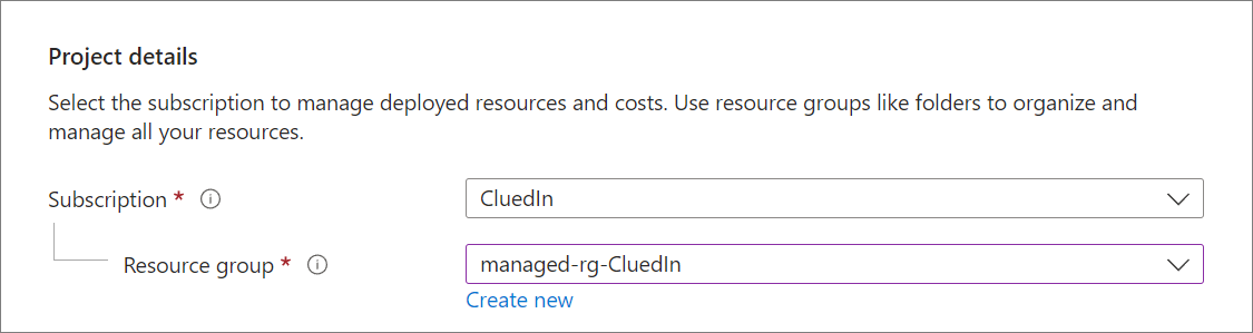 Project details section on the Basics tab with Subscription CluedIn and Resource group managed-rg-CluedIn, plus a Create new link